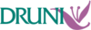 Logo catalogo Druni A Aldea